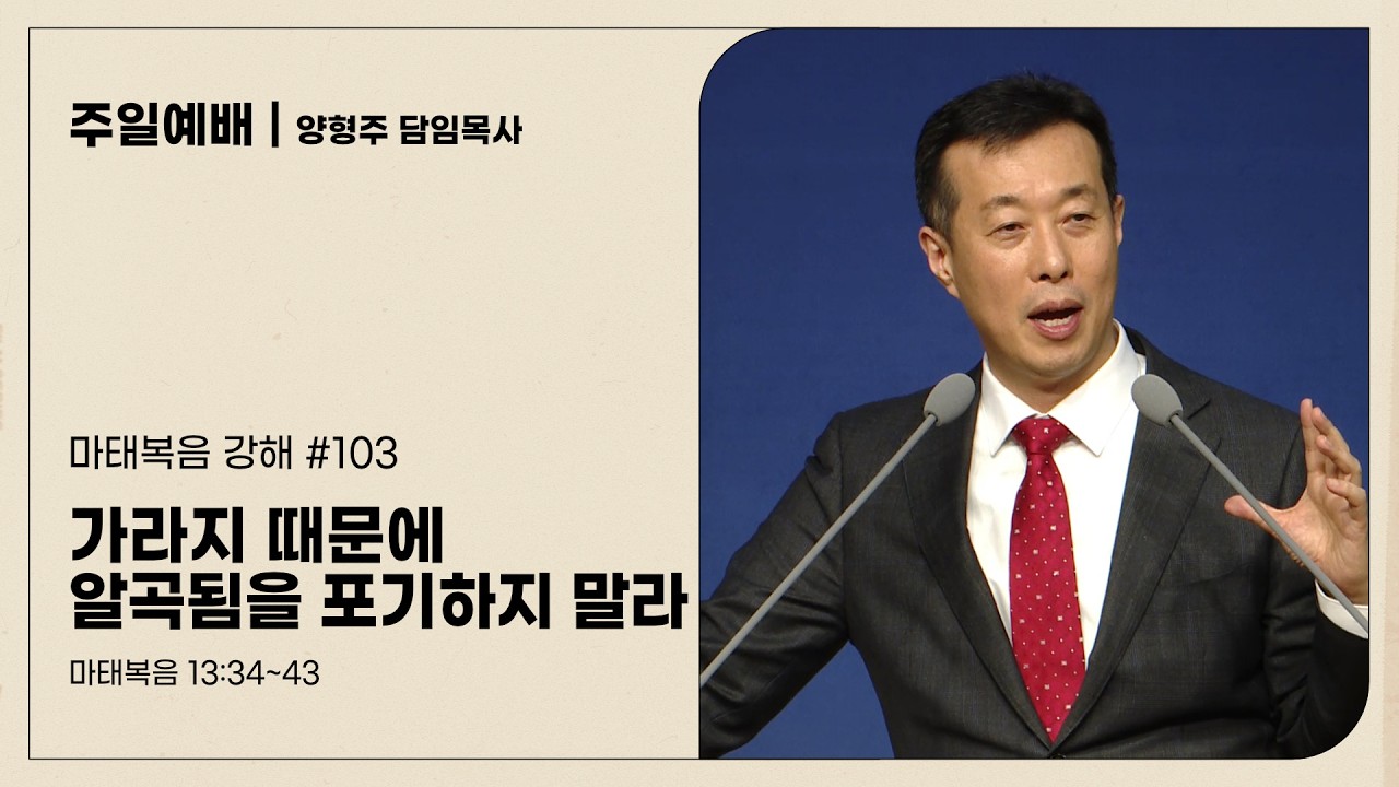 대전도안교회 주일예배 설교 [2026.03.01.] / 마(103) 가라지 때문에 알곡됨을 포기하지 말라 / 양형주 담임목사