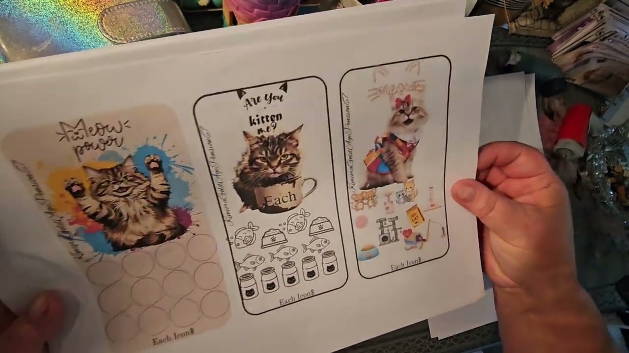 Travel into $250 sinking fund/Happy mail @pookiebearbudgets shout out 💖🫶🫶