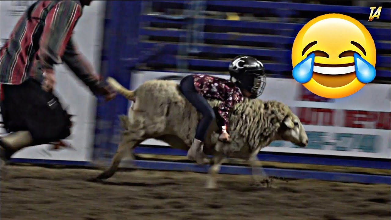 The FUNNIEST Pet Sheep Riding Video🤣2024 Try Not To Laugh!