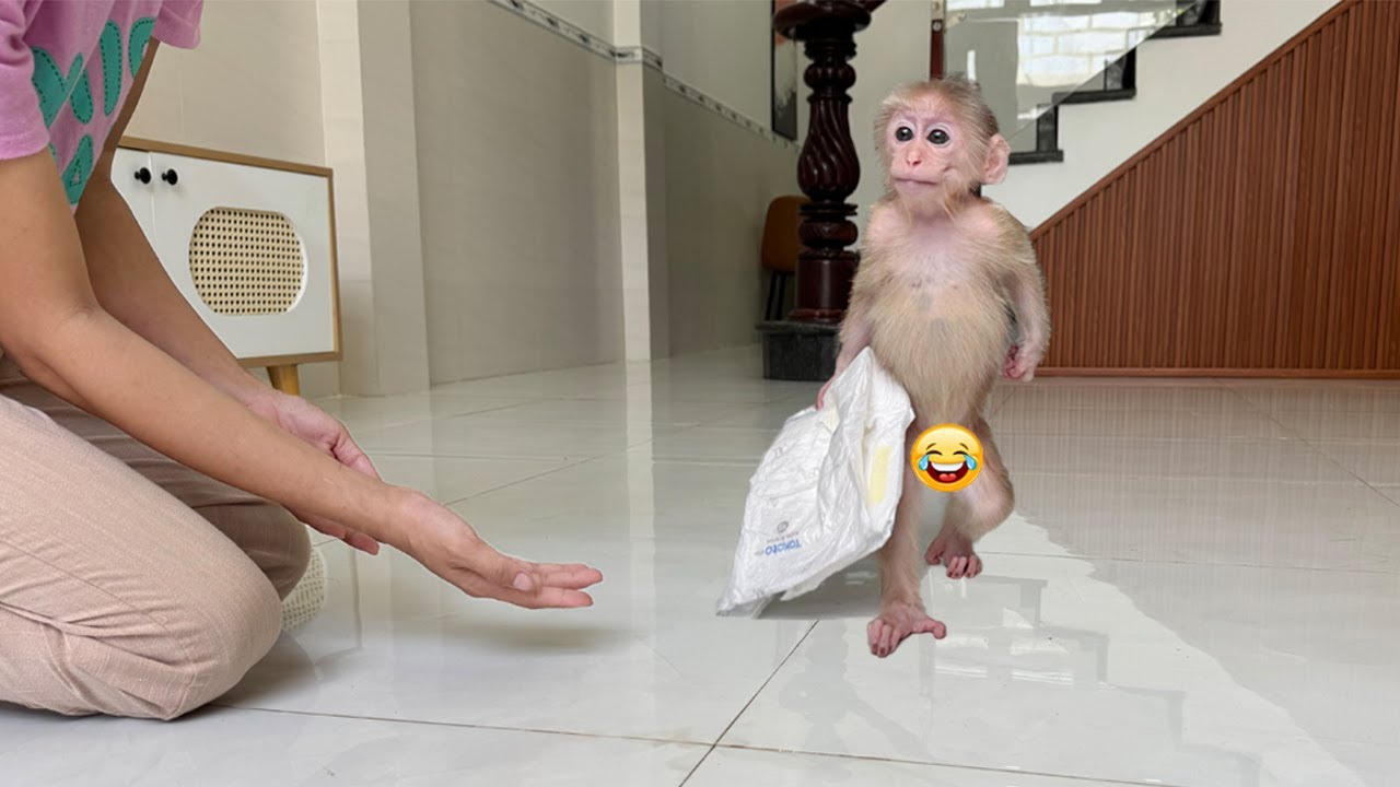 Lucky very smart: Can change clothes without mom's help
