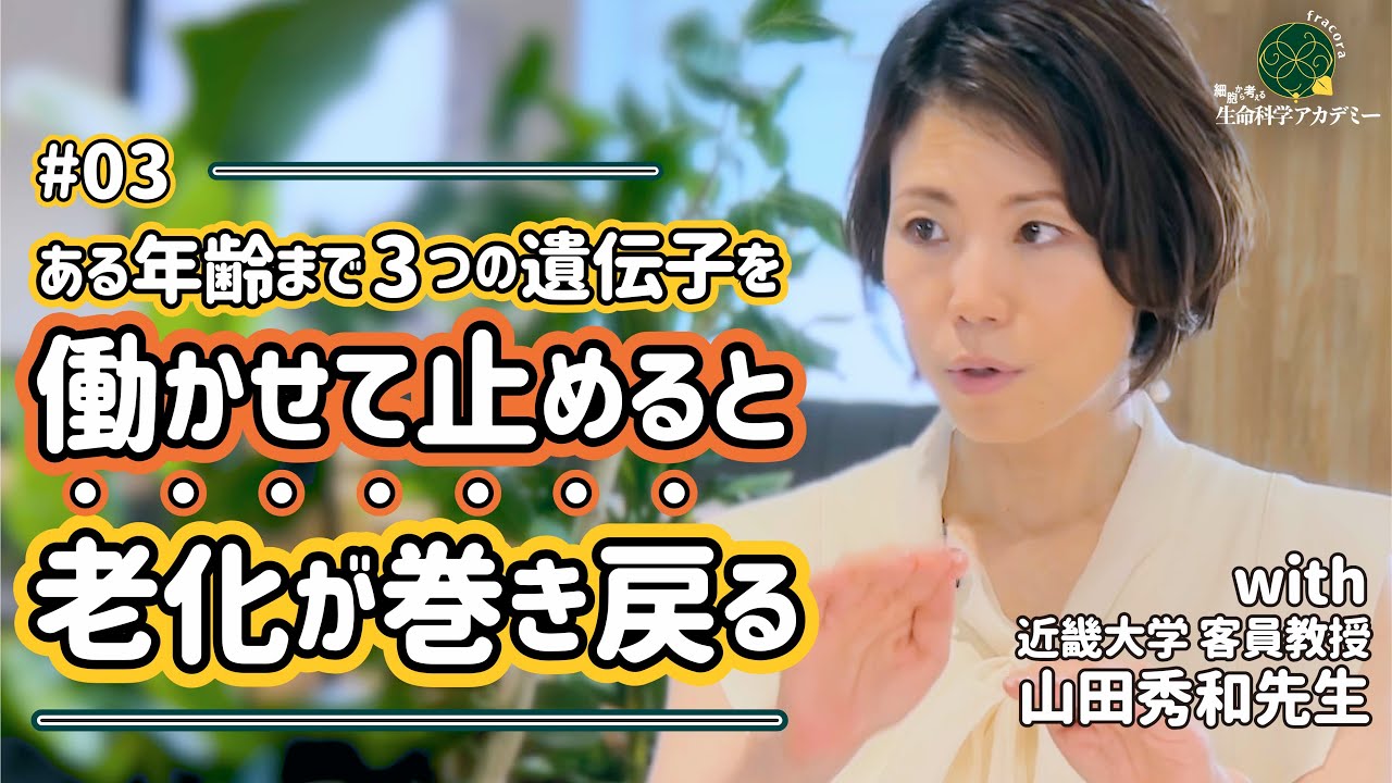 世界が老化を病気認定し始めた！! ある年齢まで「３つの遺伝子」を働かせて止めると老化が巻き戻る｜#03 近畿大学　山田秀和先生