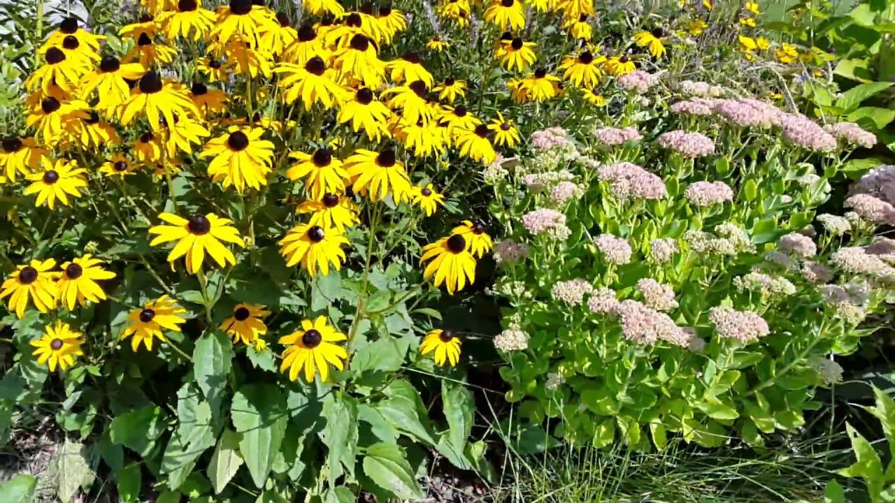 Staudengarten