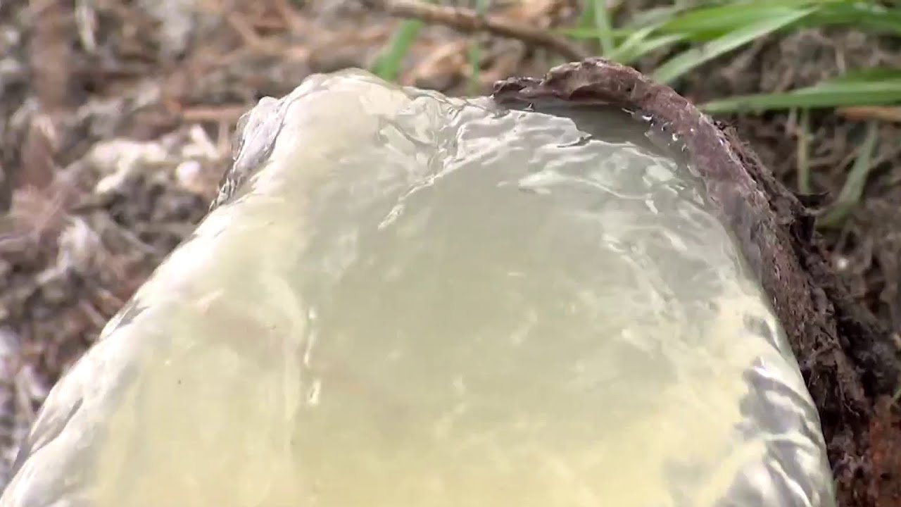 15,000 gallon sewage leak in northeast Houston