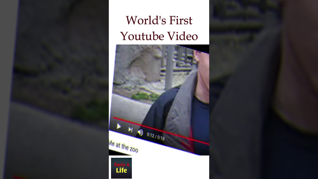 me at the zoo world first youtube video 