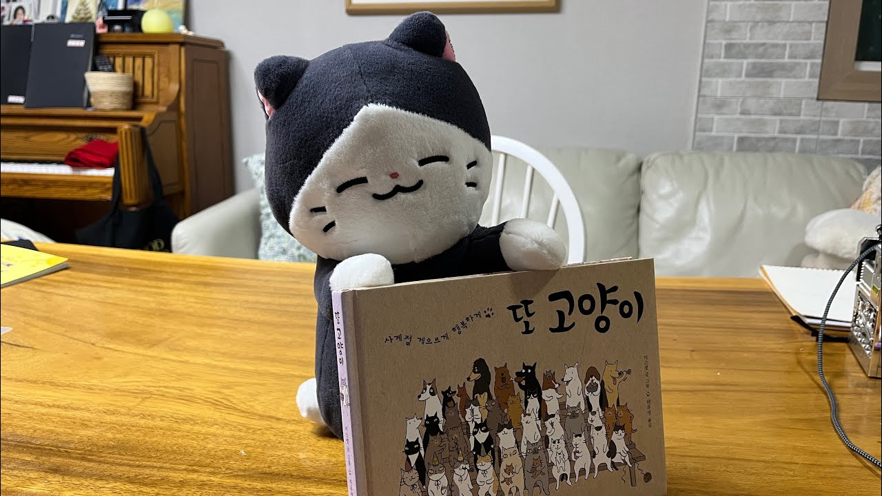 또 고양이 득템