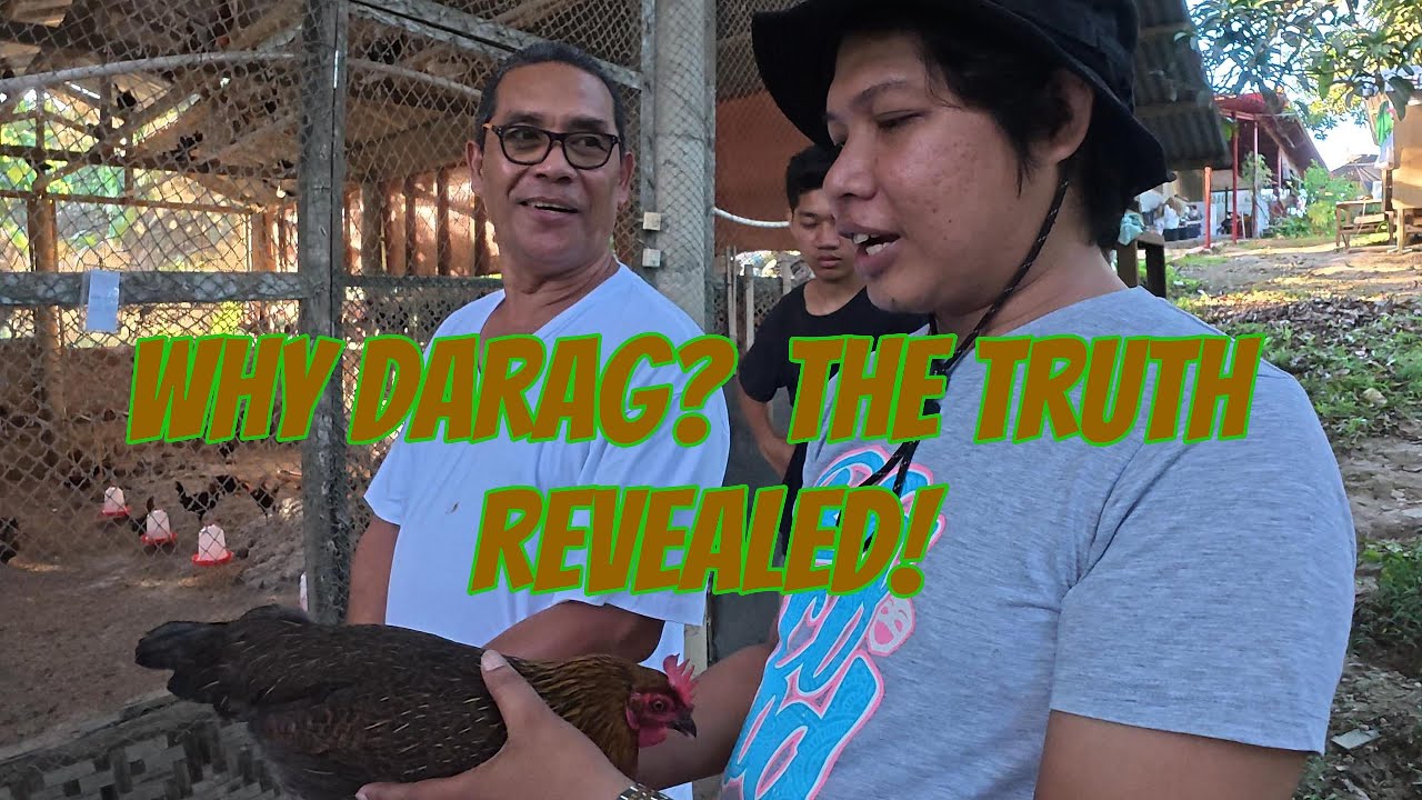 Why Holganza Native Farm Chose DARAG | The Secret Behind Their Native Chicken Success!