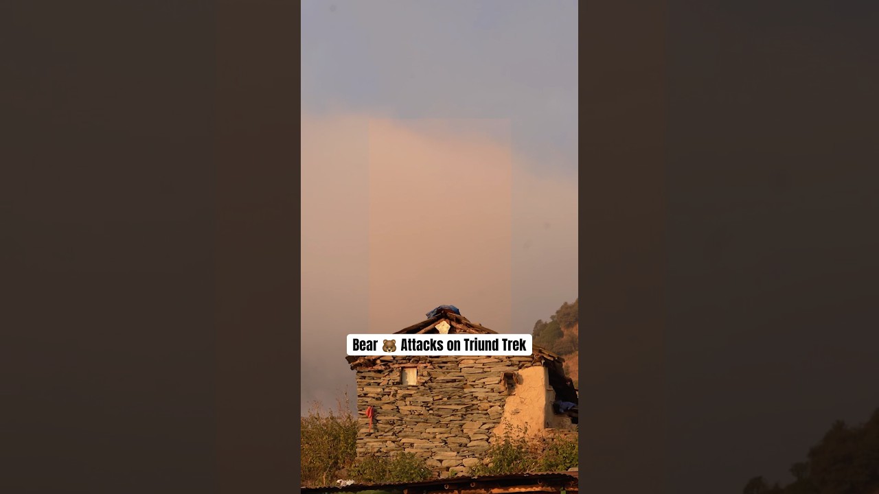 Precautions to be taken during the Triund trek  