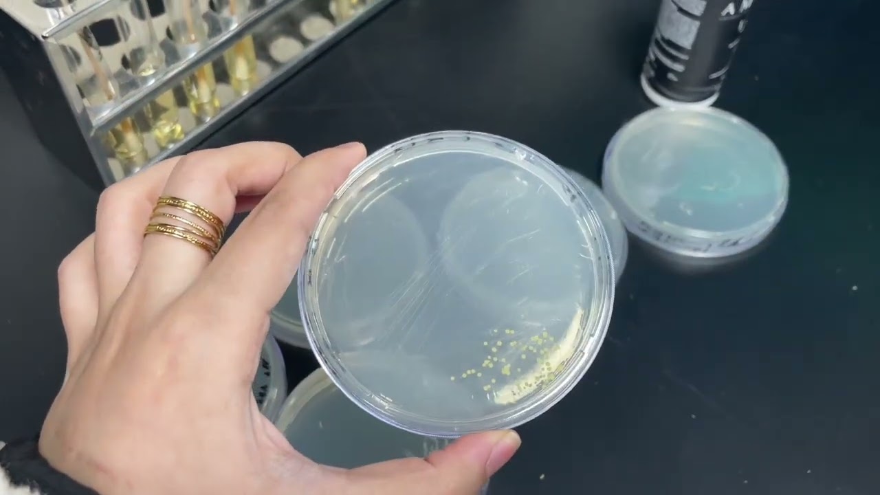 يومي بالجامعه📚🧫 (فلوق قصير)