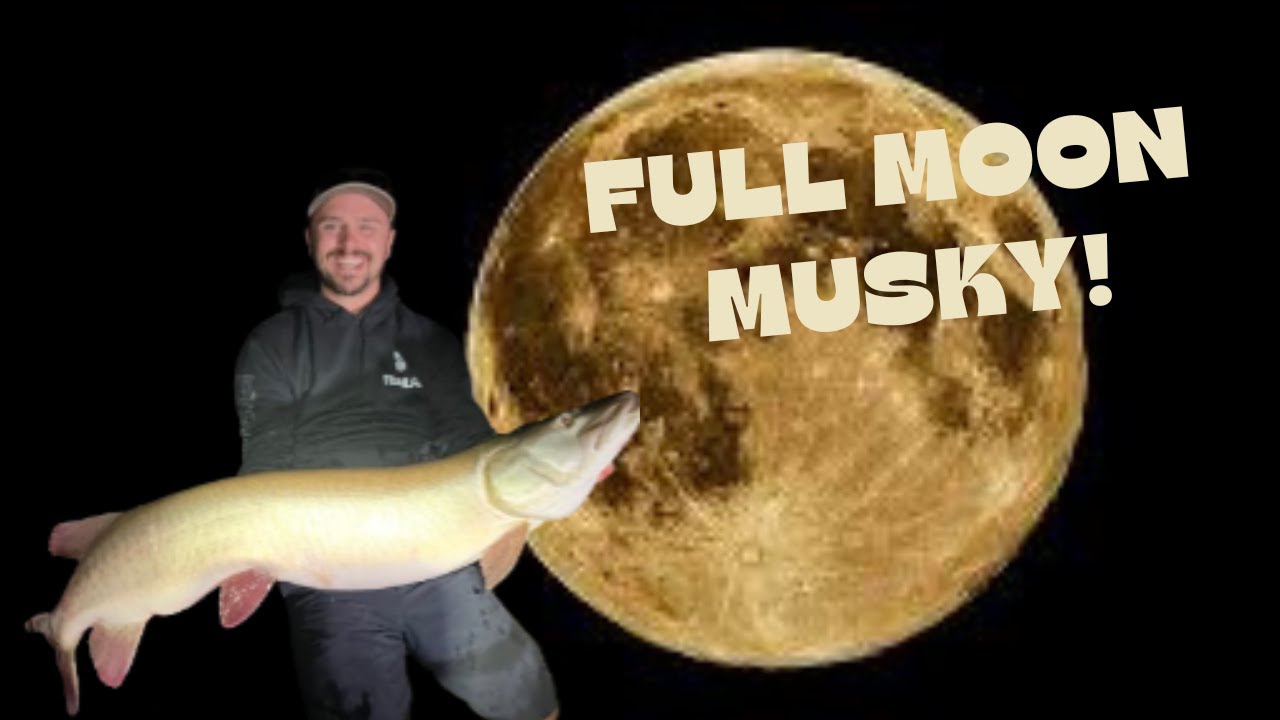 Full MOON Erie Musky Fishing!