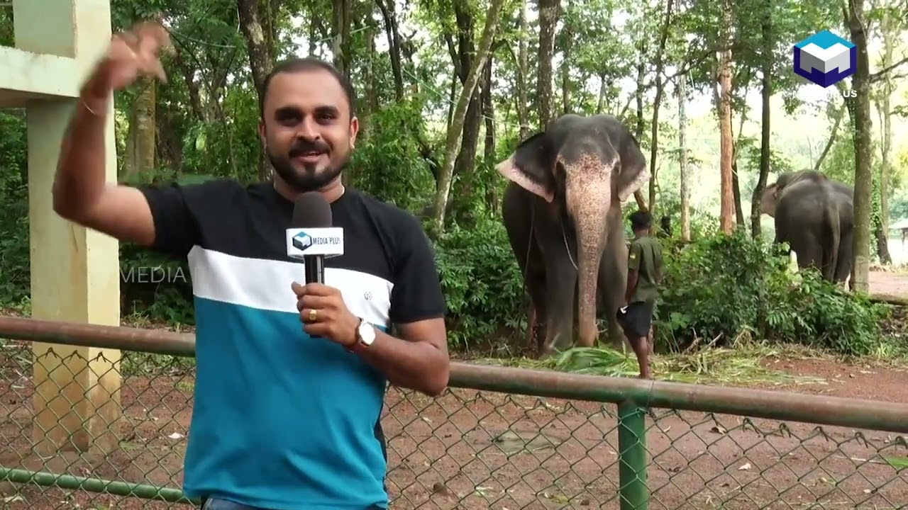 Elephant Rehabilitation Centre Kappukadu, Kottoor