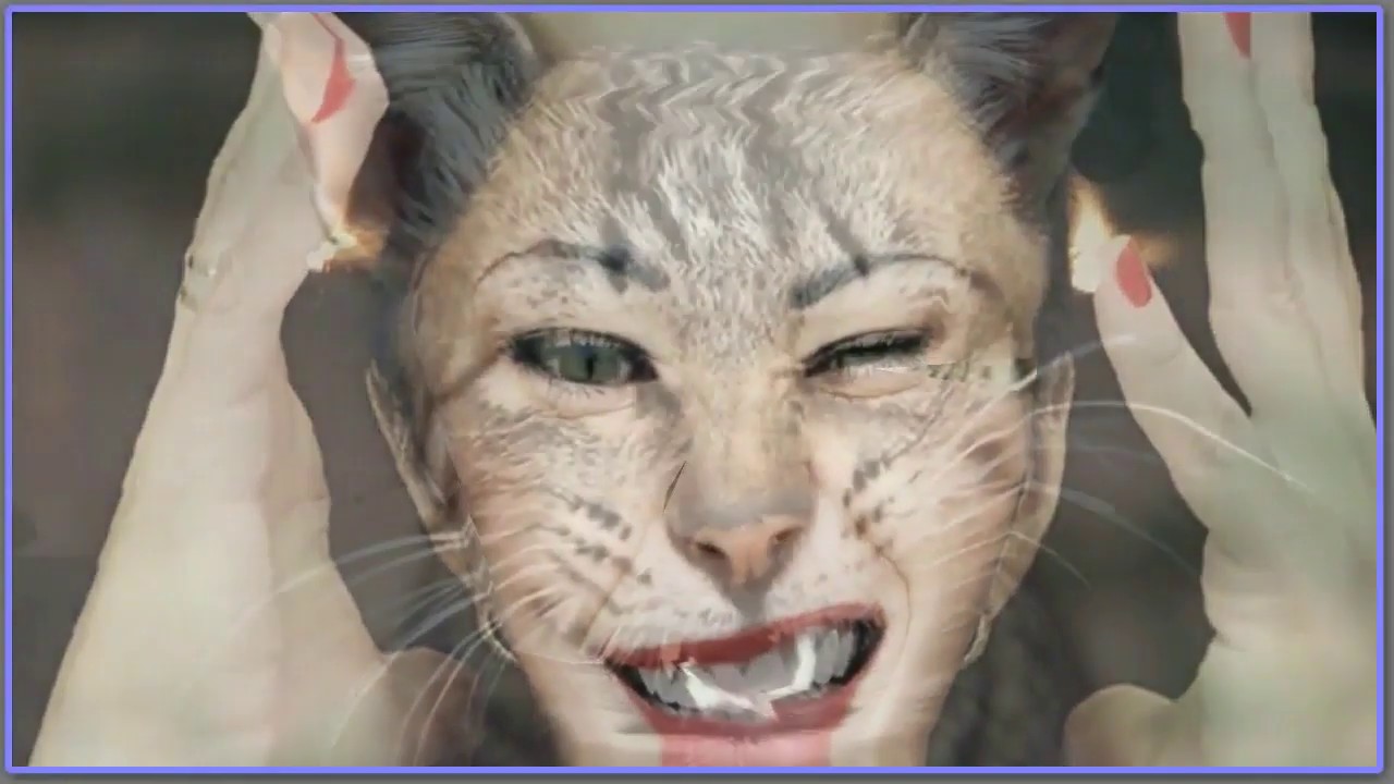 FotoMorph &mdash; создание анимации из фотографий  Первый опыт