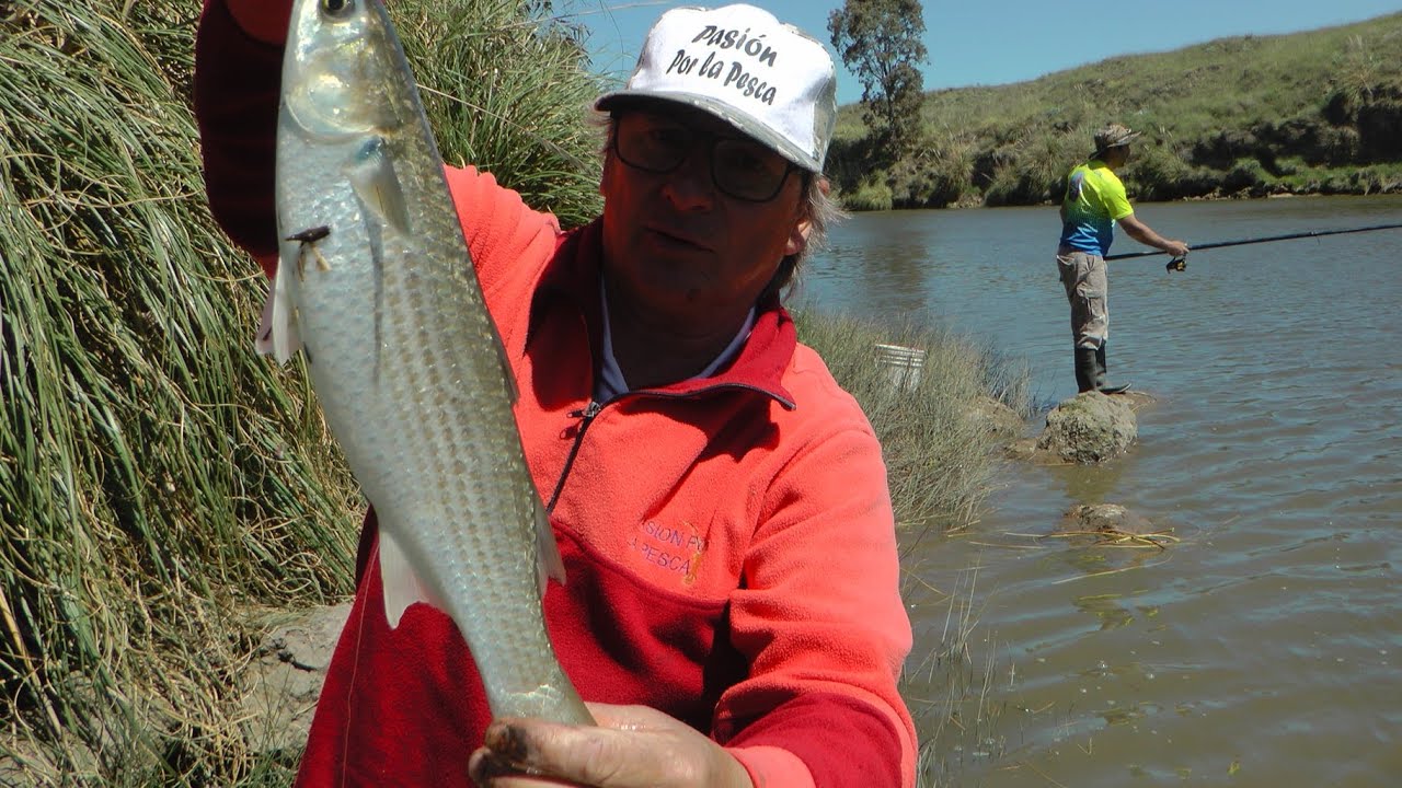 POR FIN LISAS,ARRANQUE DE TEMPORADA!! PASION POR LA PESCA