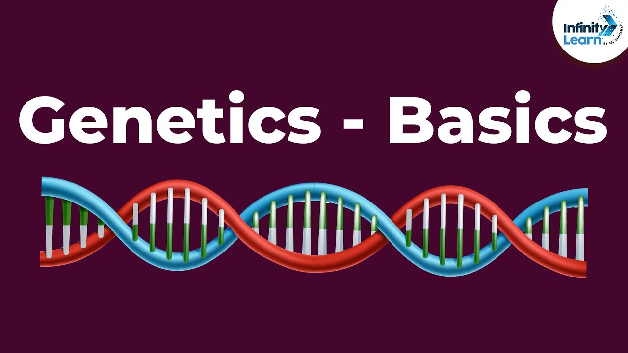 Genetics Basics - Introduction | Don't Memorise