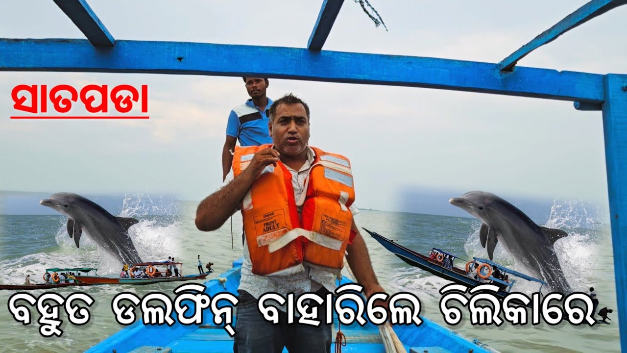 ବହୁତ ଡଲଫିନ୍ ବାହାରିଲେ ଗଭୀର ଚିଲିକାରେ l Satapada, Puri l Gouranga Nayak Odia Vlogs