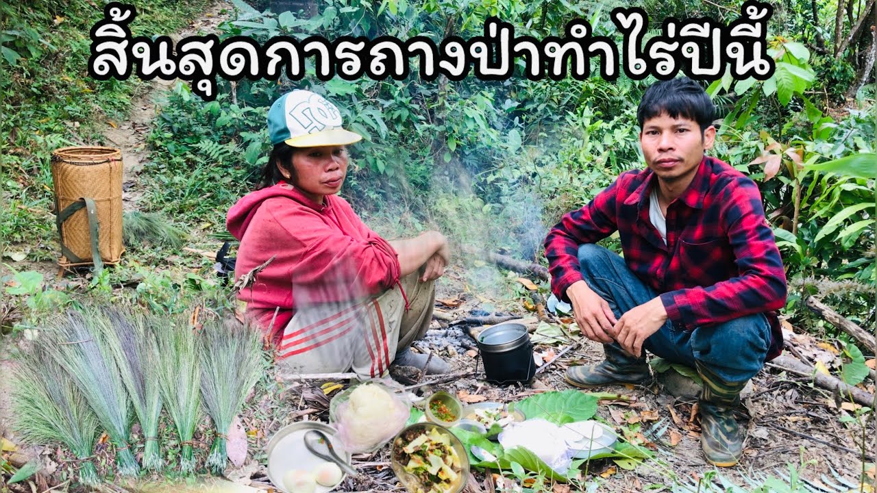 ถางไร่วันสุดท้าย ทำคนละที่ เรามาดูความกว้างของไร่แค่ไหน? - YUB AVERN