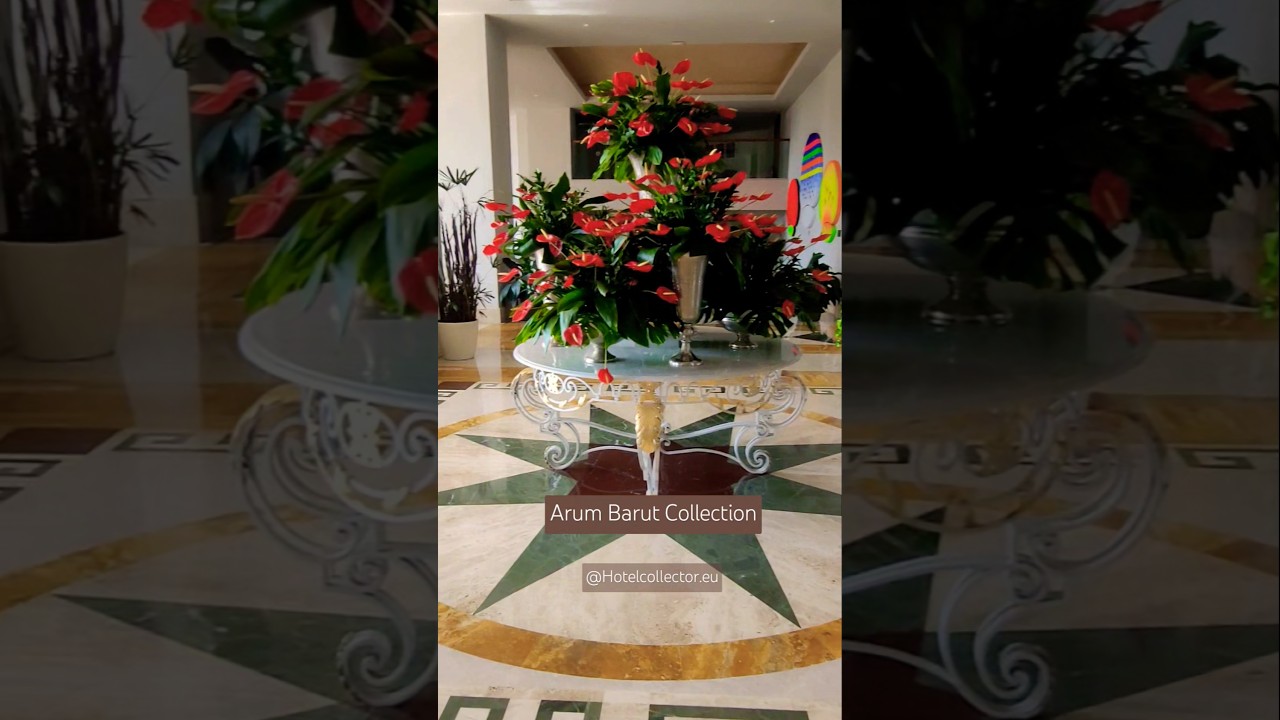 ARUM BARUT COLLECTION - TURKEY #shorts #arumbarut #t&uuml;rkiye #hotel #lobby #view