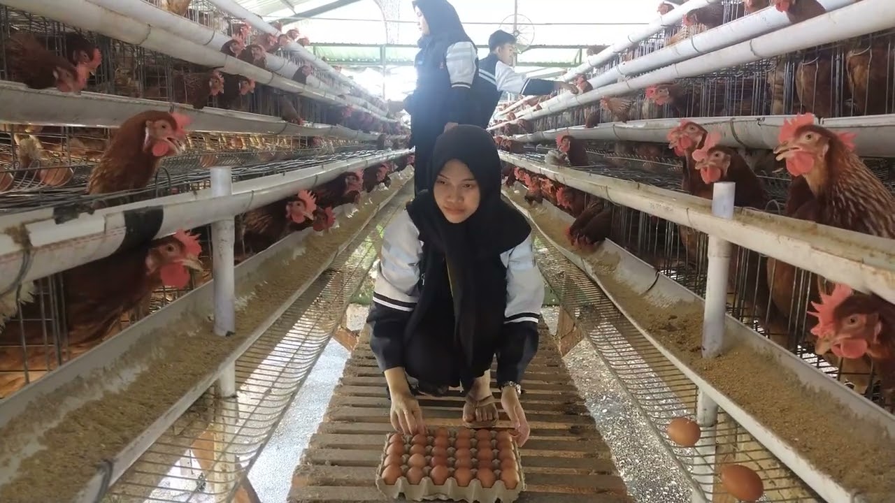 Video KKN Desa Siberuk