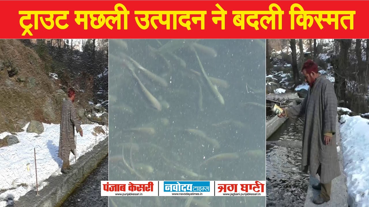 TROUT FISH उत्पादन ने बदली किस्मत, पिता-पुत्र हुए मालामाल, सालाना कमा रहे लाखों