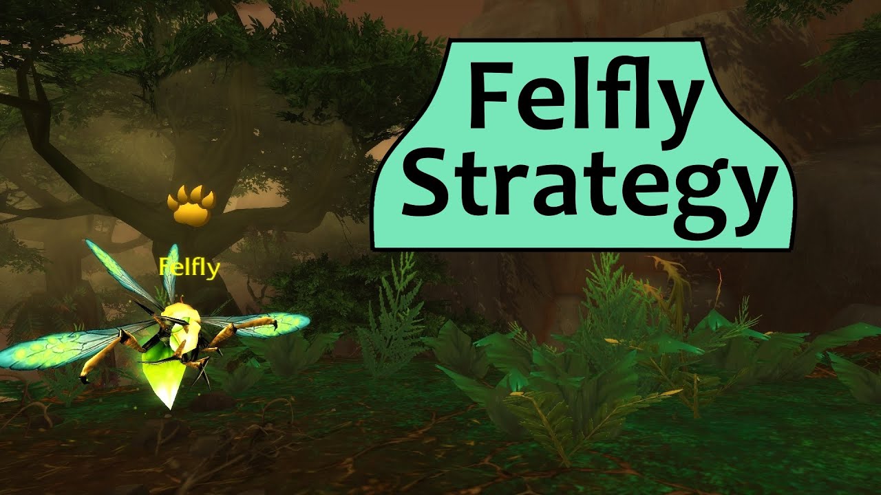 Felfly: Tanaan Legendary Pet Battle Strategy Guide