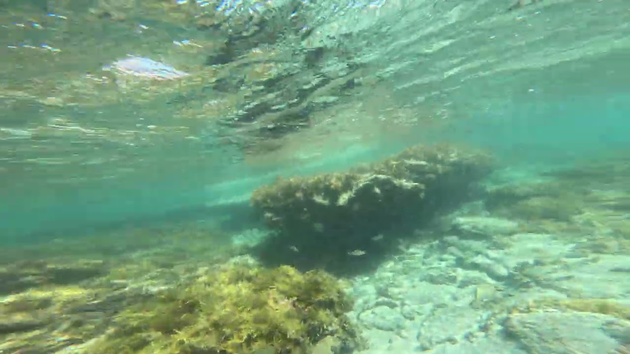 Rockpool snorkeling in Kalbarri Blue Holes