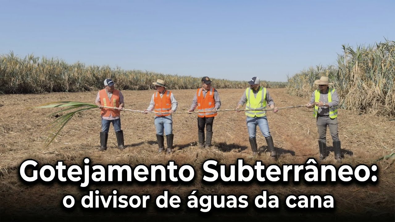 Como a irrigação inteligente transformou a cana