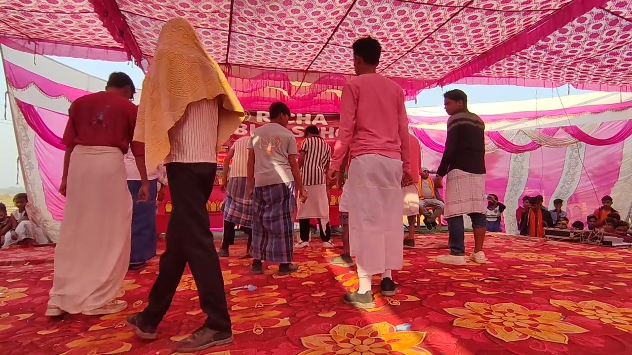 Ham kale hai to kya hua dilwale hai! Richa Public School Annual Function | Best Performances 
