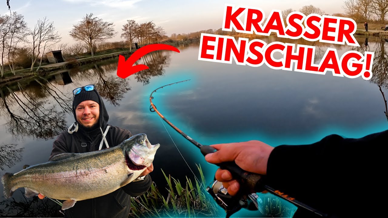Forellenangeln mit Spoon in Dänemark: So erkämpfst du dicke Lachsforellen! 🎣  Ribe Storkesøen