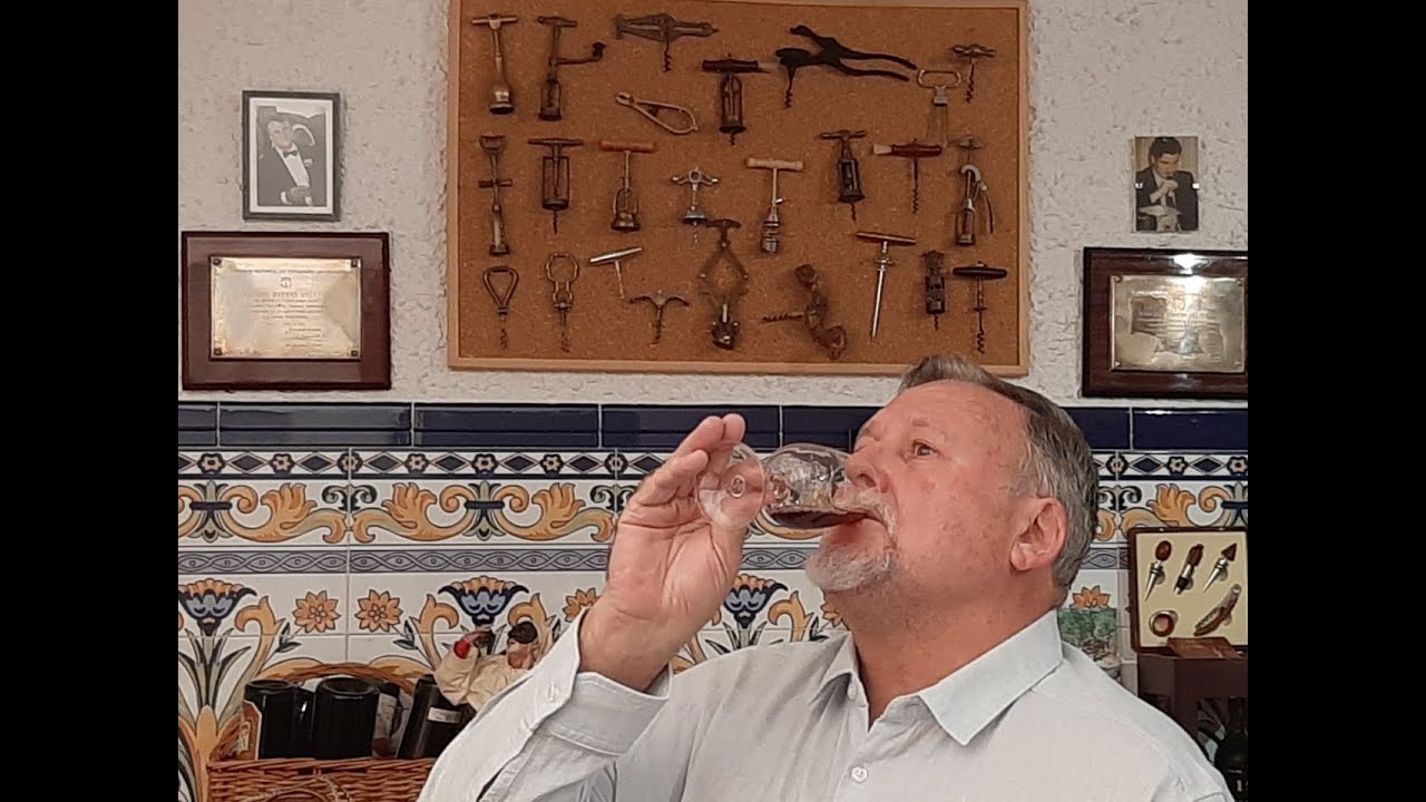 4 - CÓMO ANALIZAR UN VINO EN LA BOCA