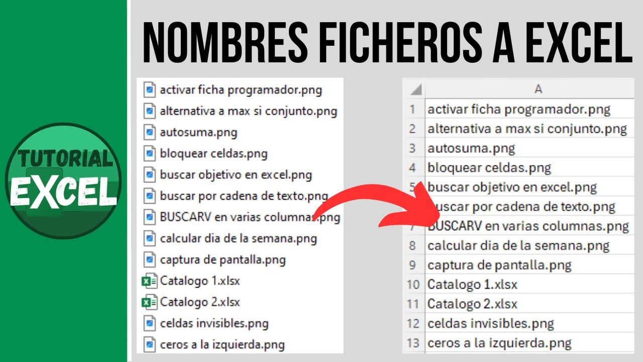 Copiar nombres de ficheros a Excel