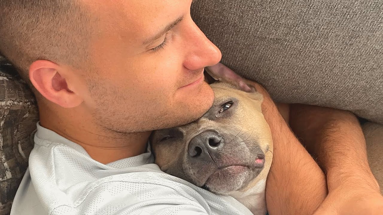 Pitbull adopter says no one tells you breed is so...