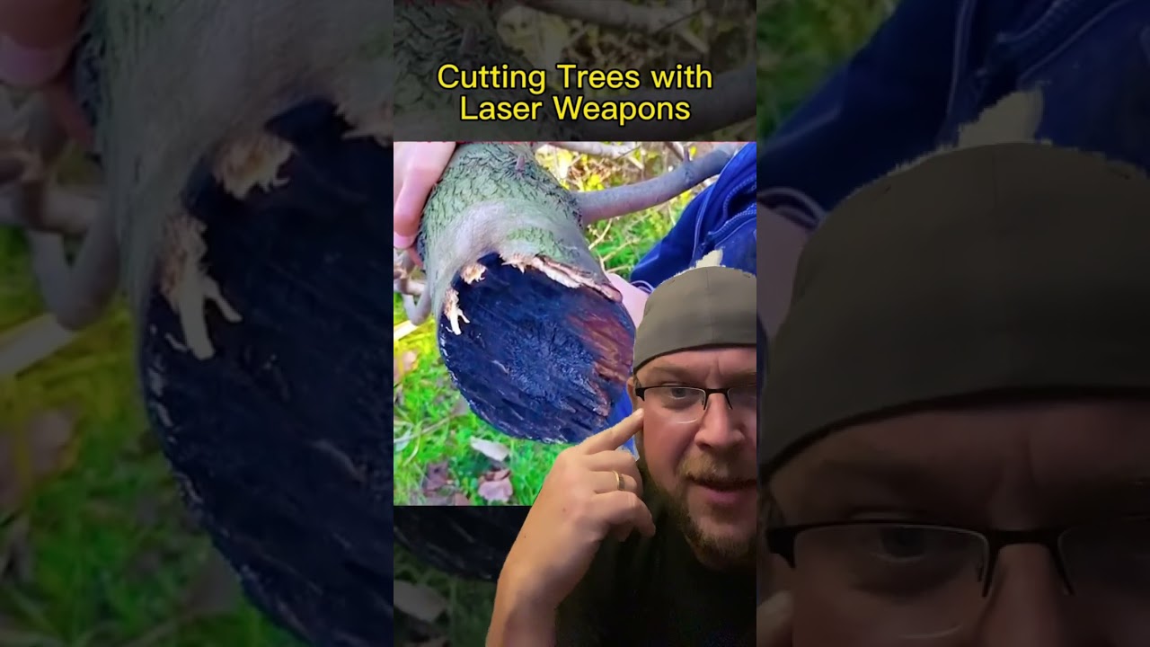 Cutting Trees With Lasers