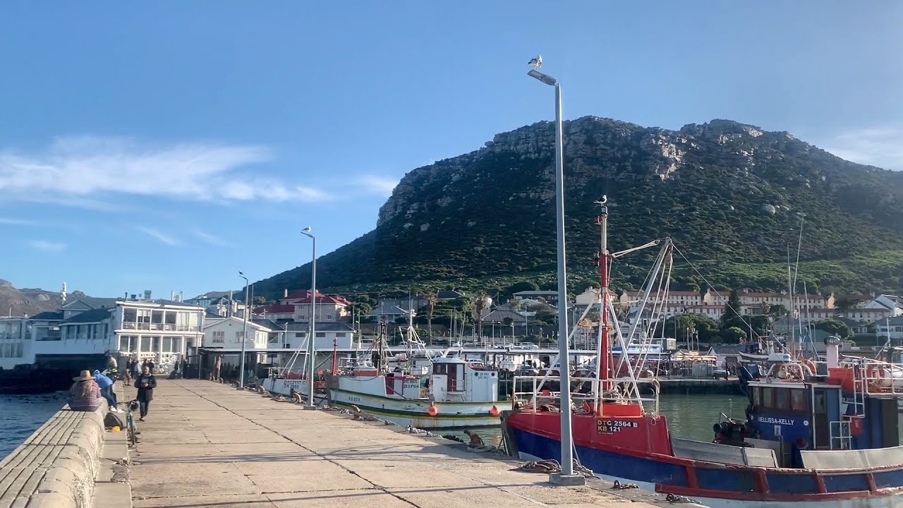 Fishing The Pier In Cape town South Africa!
