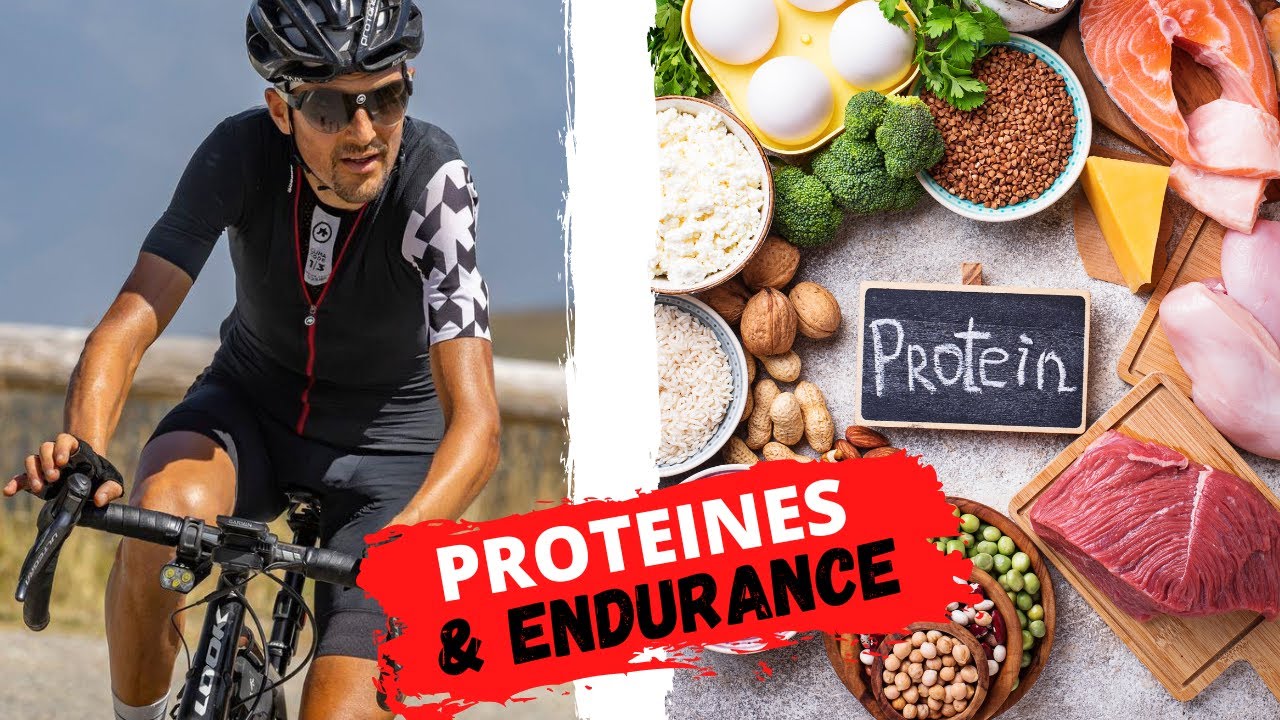 Protéines et sports d’endurance