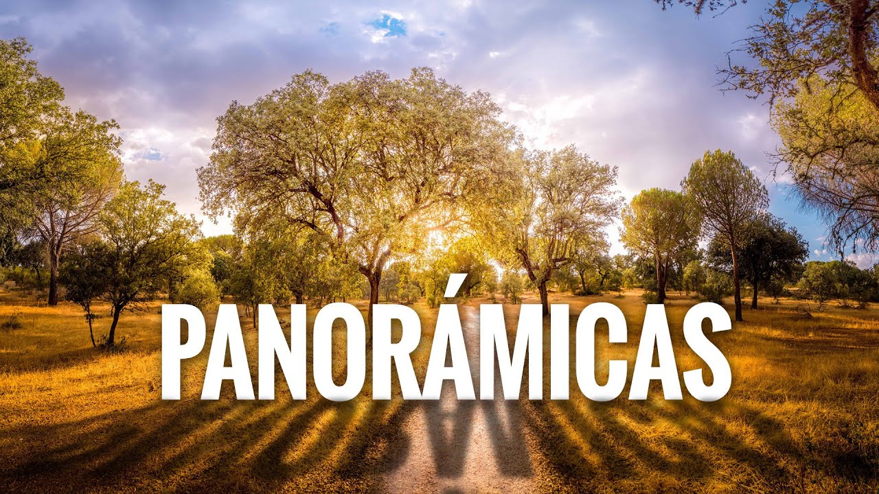 C&oacute;mo hacer PANOR&Aacute;MICAS PROFESIONALES