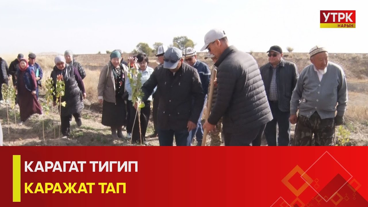 УТРК НАРЫН:КАРАГАТ ТИГИП КАРАЖАТ ТАП
