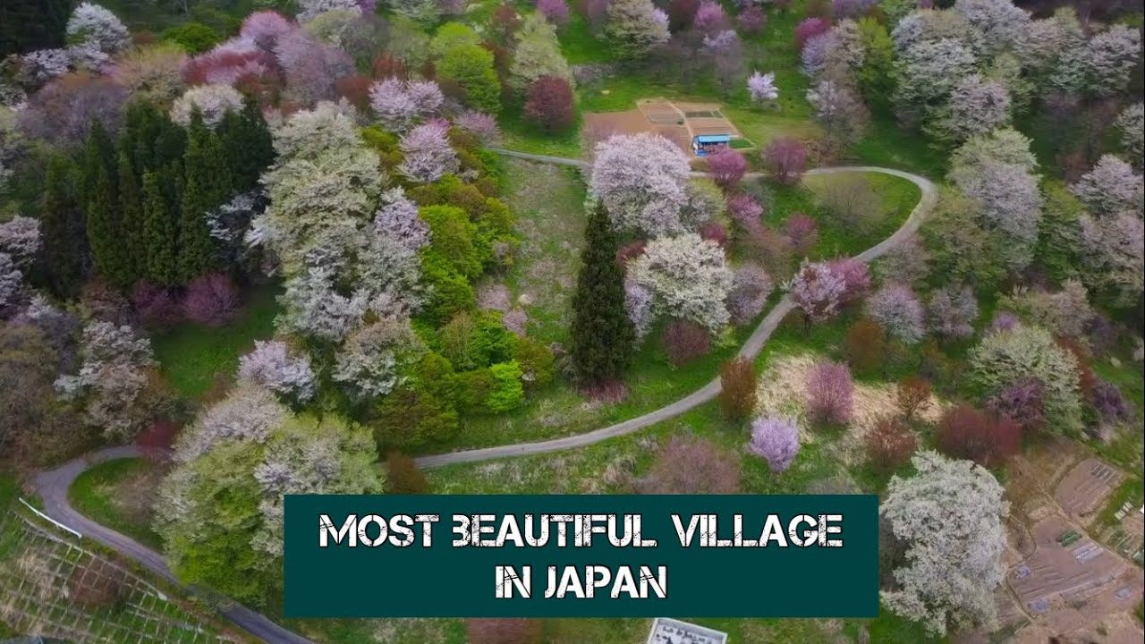 Discover Japan:”Colors Of the Spring” Ogawa Village Nagano Prefecture Japan