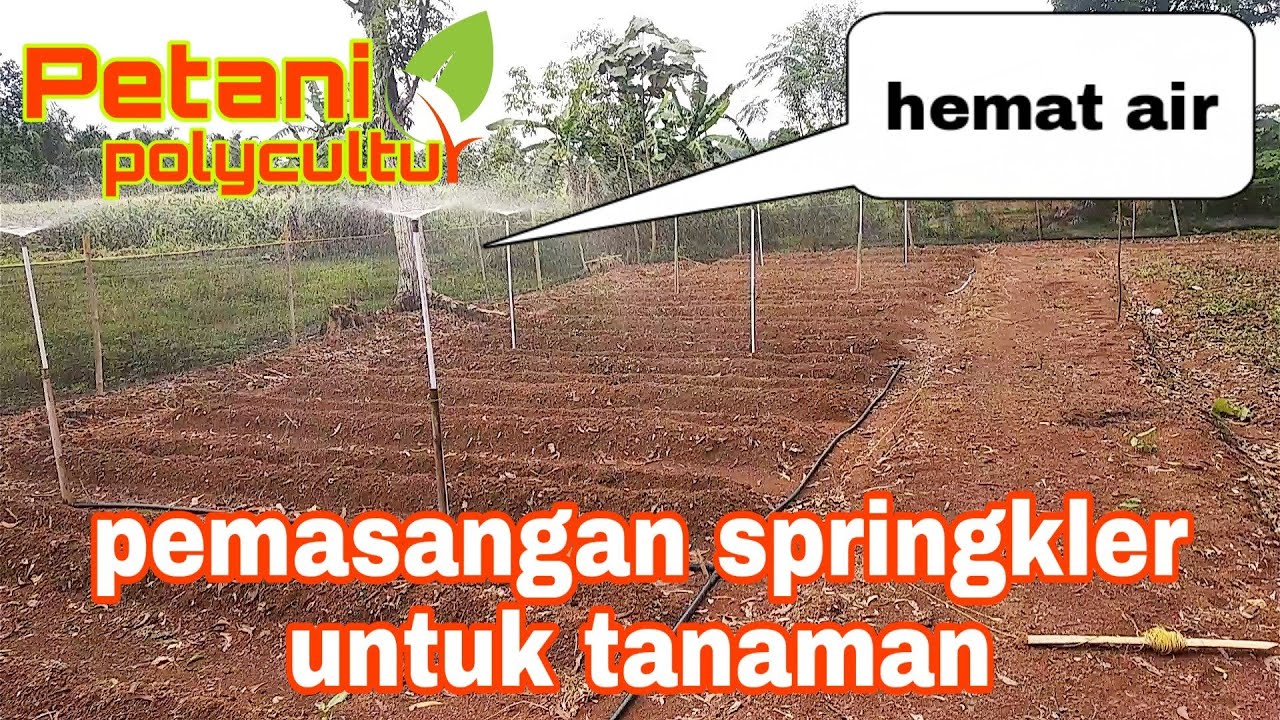 pemasangan springkler tanaman (bag 2)