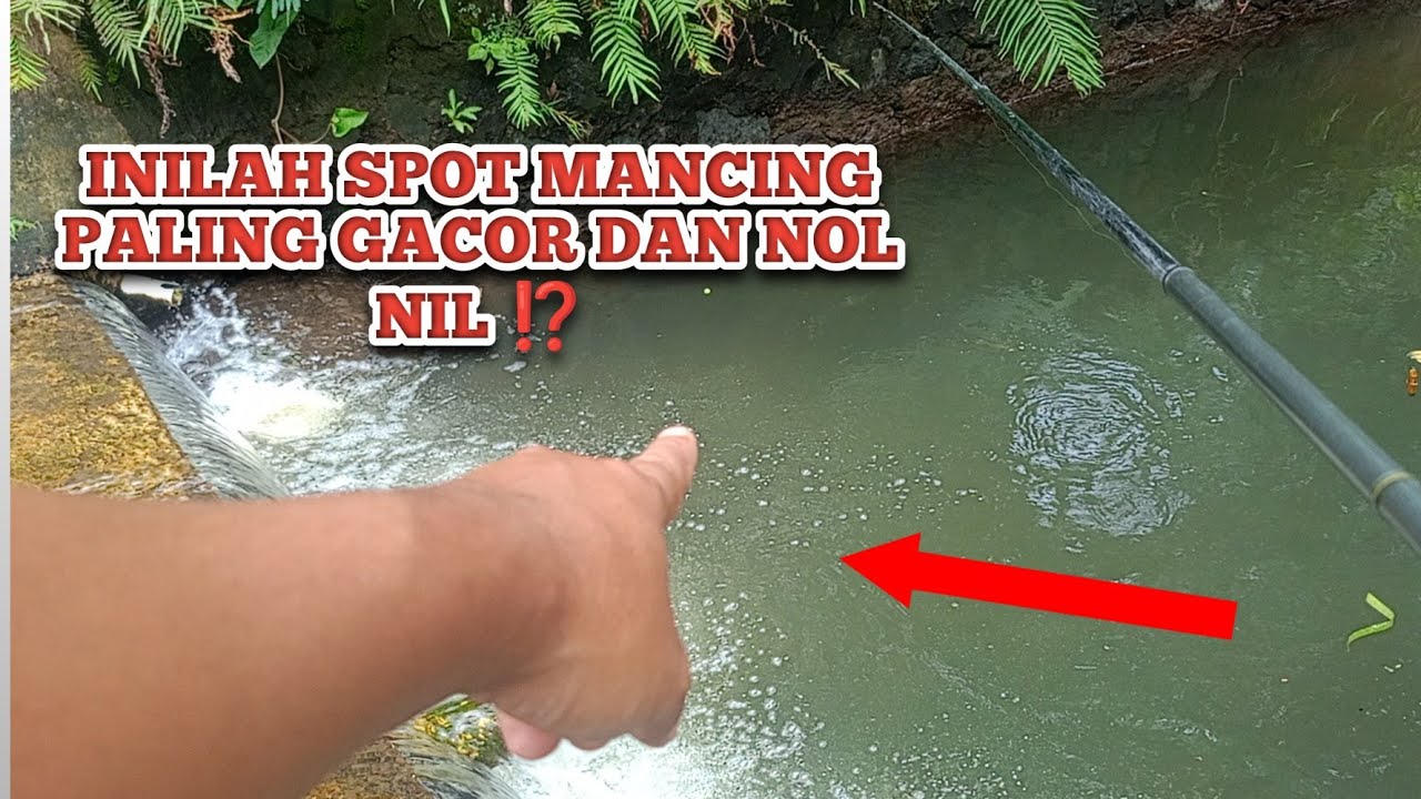 INILAH SPOT MANCING IKAN UCENG PALING NOL NIL ⁉️ SPOT MANCING PALING POTENSI DAPAT IKAN BANYAK 