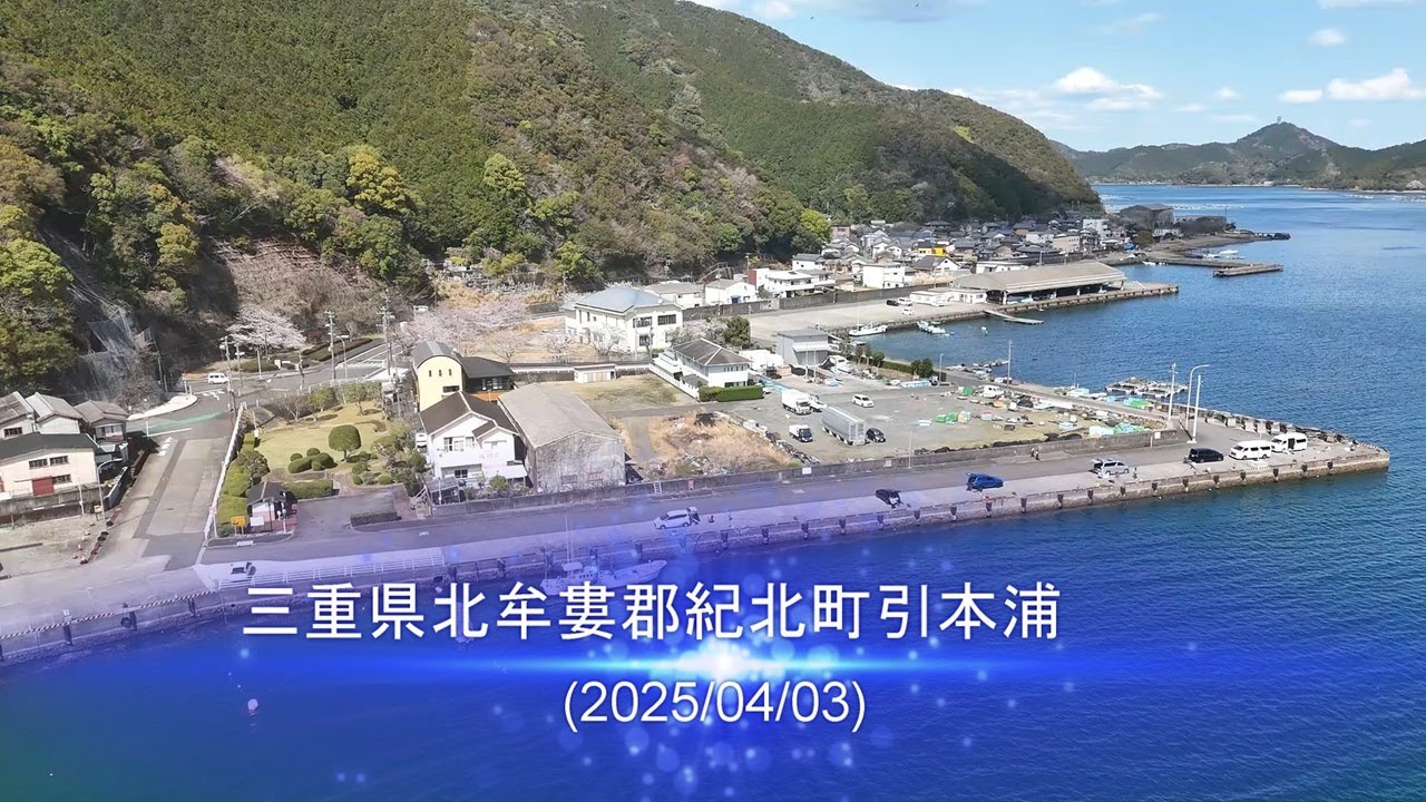 【波止釣り】引本港の釣行(2025/04/03)