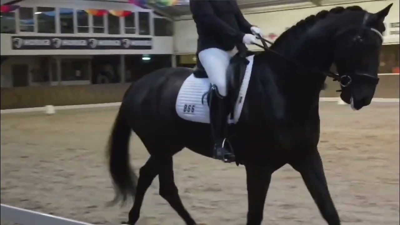6 jarige imposantos ruin