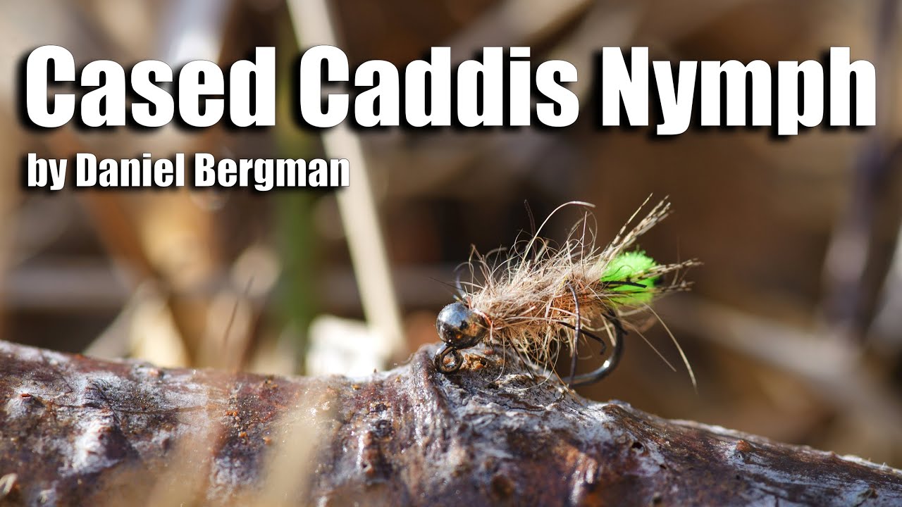 Cased caddis nymph - extra heavy point fly