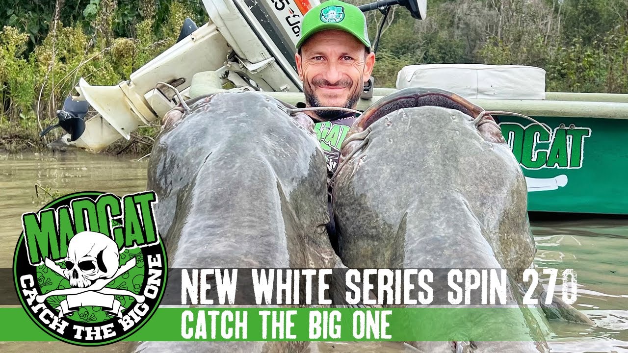 Spinning al Siluro sul Fiume Po con la nuova White Series Spin 270 Madcat