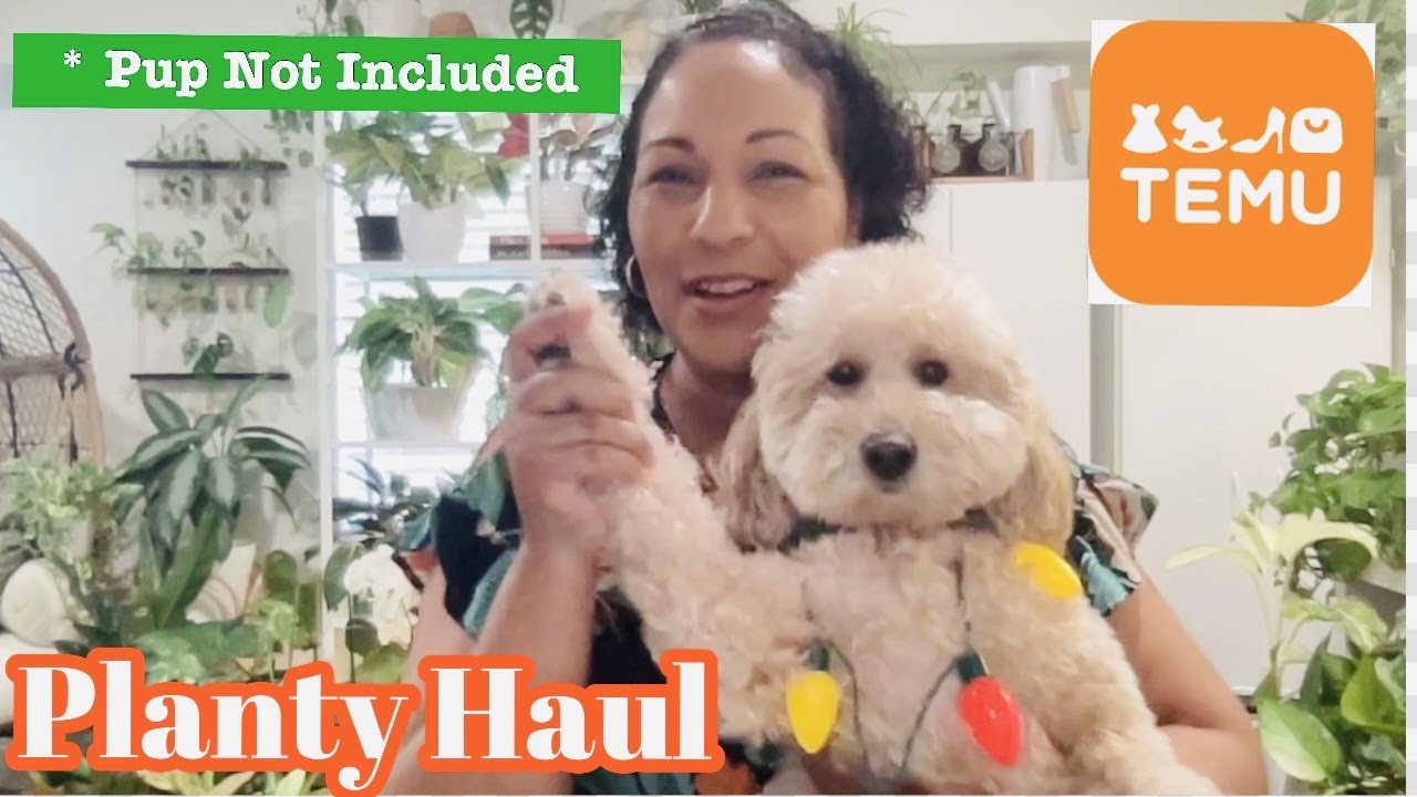 Temu Planty Haul || Plant Essentials and Other Fun Planty Stuff || Plantmas Day 2
