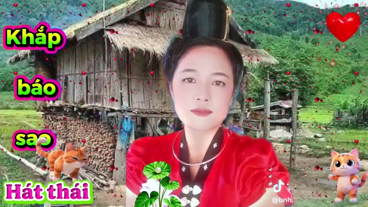 Hát thái tình yêu thương khắp tay ngắn họt nhinh chăn