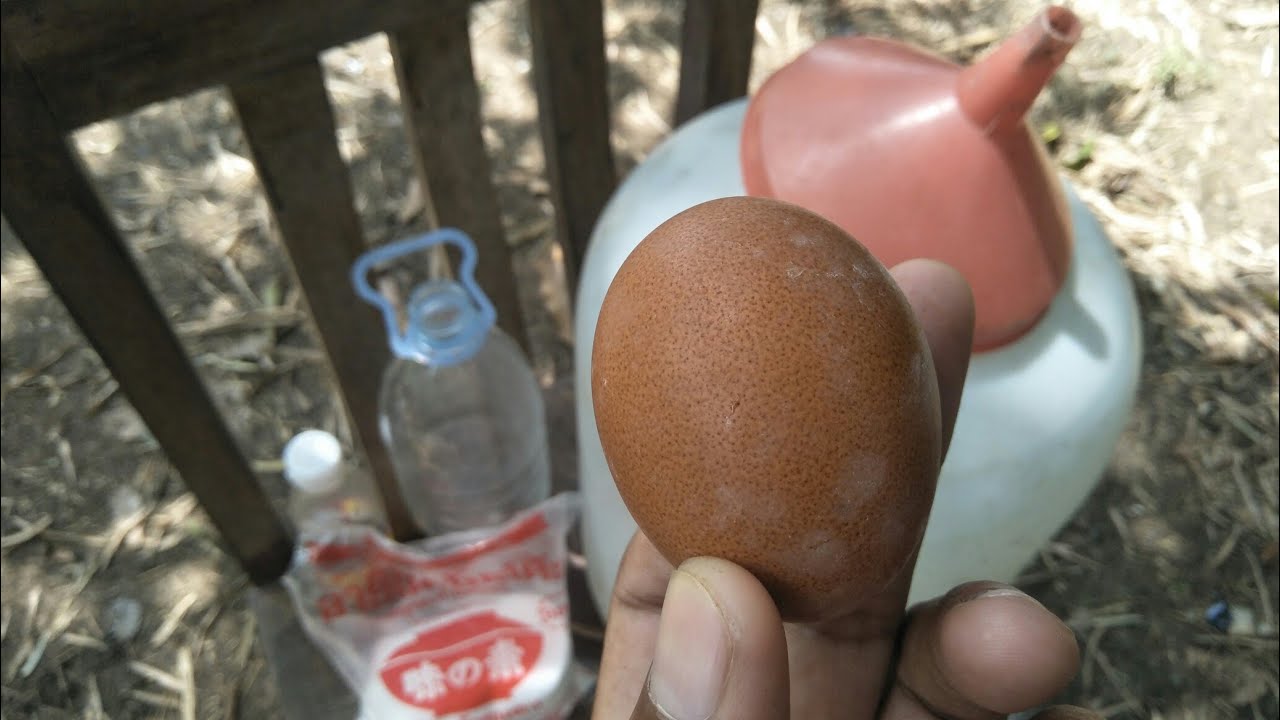 How to make Cholinsy, easy work and fast - my agriculture