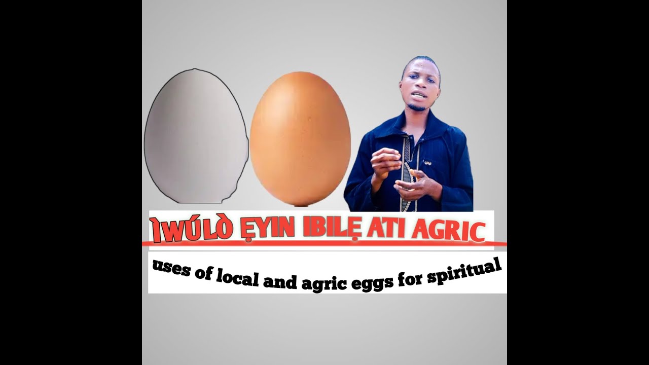 Iwulo ẹyin ibilẹ ati agric fún ọpọlọpọ asiri nla @Dromoodoagbatv #viral #subscribe #tips #youtube