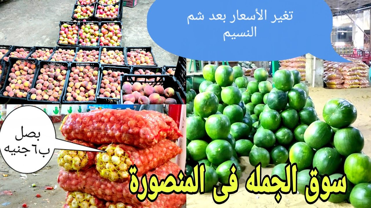 إنخفاض الأسعار فى سوق الجمله بعد شم النسيم🍅 سوق الجمله فى المنصورة