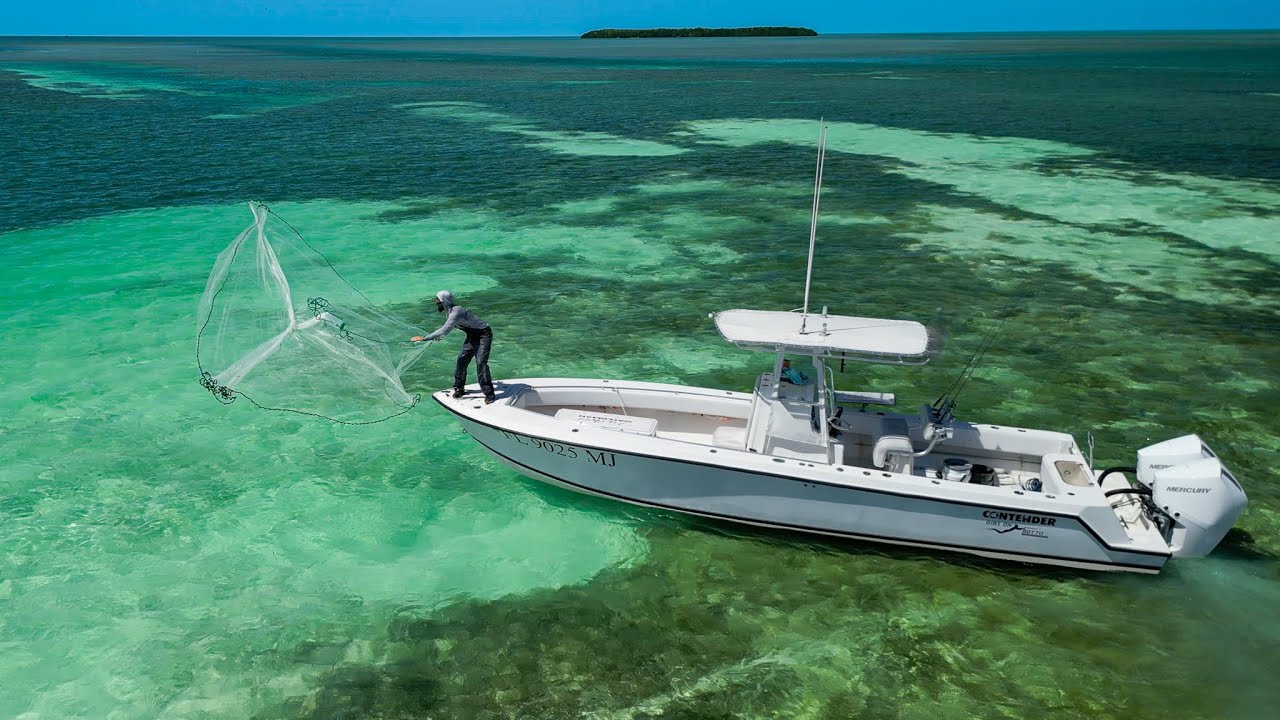 Inshore - Live Bait - Patch Reef Fishing - Dealers Choice