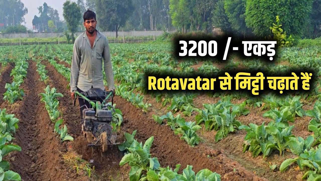 3200/- में 1 एकड़ में निराई गुड़ाई के साथ फूलगोभी में मिट्टी भी चढ़ाता हैं! Powerful Rotavatar ✅