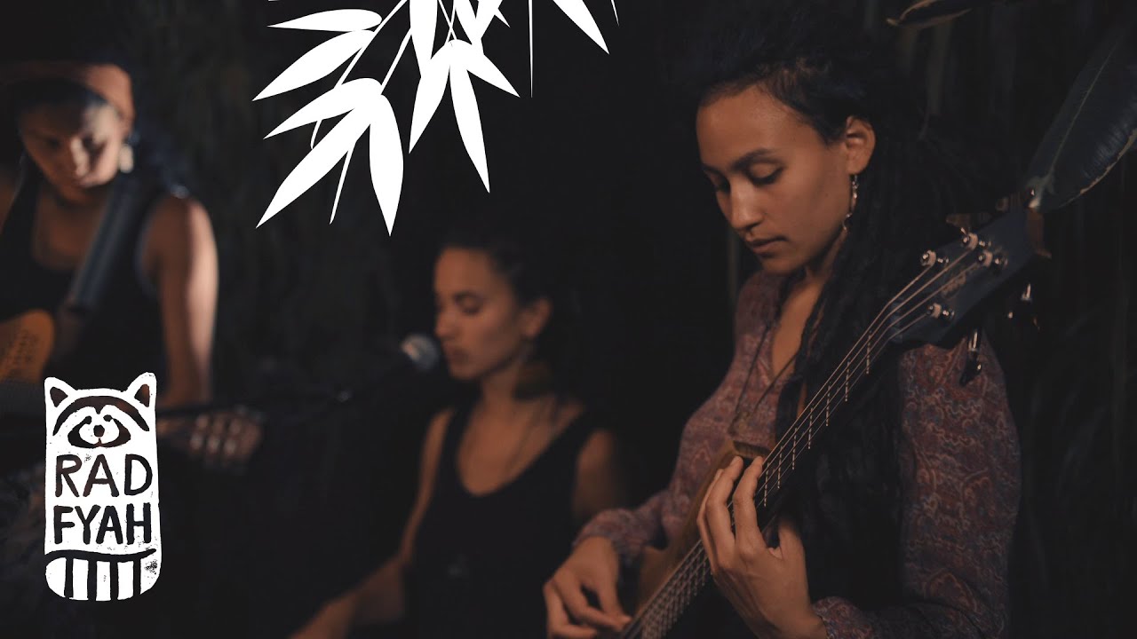 Balaclava - Red Hot / Animals - Rad Fyah Studio Live Session